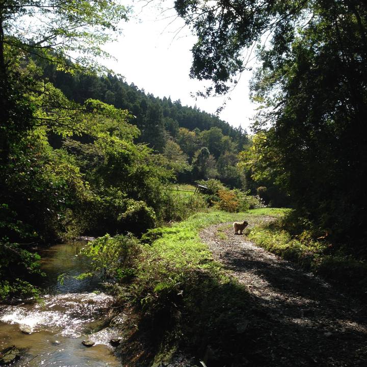 C40f0d45 f17e 4a83 ace6 439e8454b088 1605174599085