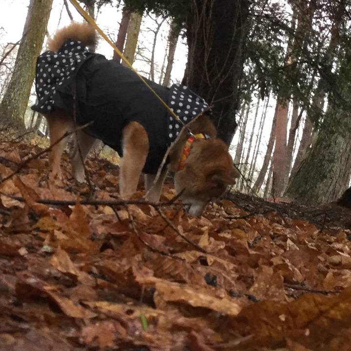 C40f0e49 a2ae 4d09 adc8 470ce68d925b 1556717132266