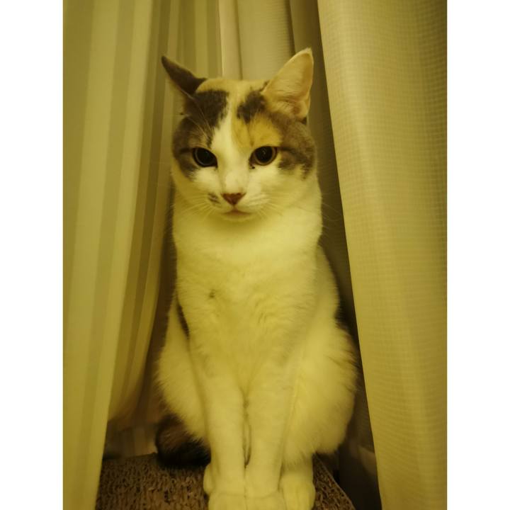 C40f3056 7313 4fcb a0b0 bdc058165e25 1671521755149