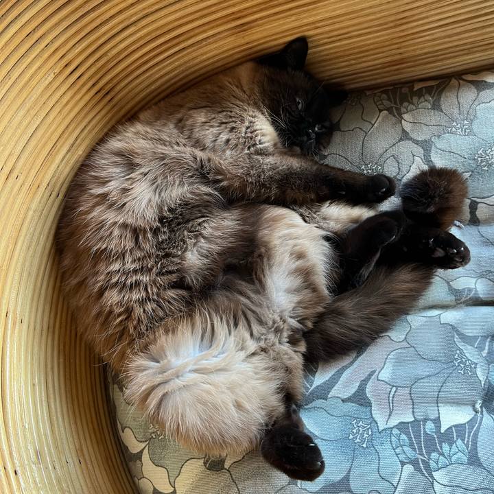 C40f3b54 79ab 4b29 9e0d 321ac0aaf2d4 1716633078349