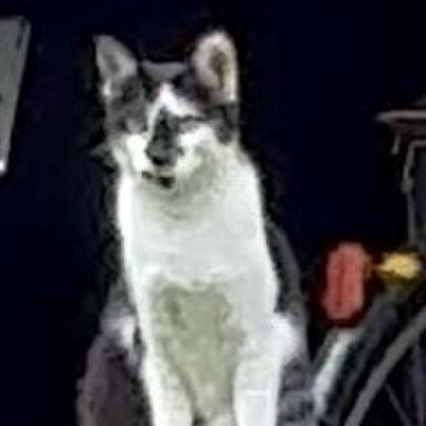 C40f52e5 5ad1 4027 969a 02dbb19715db 1750214522299