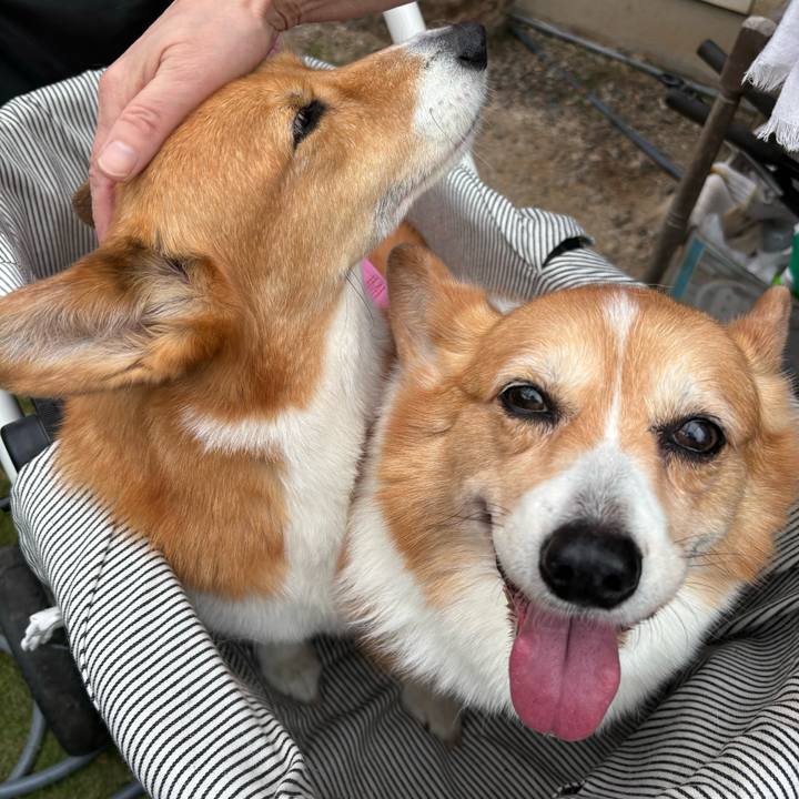 C40f7f18 2143 4744 aebf c25840bfaa65 1749525586231