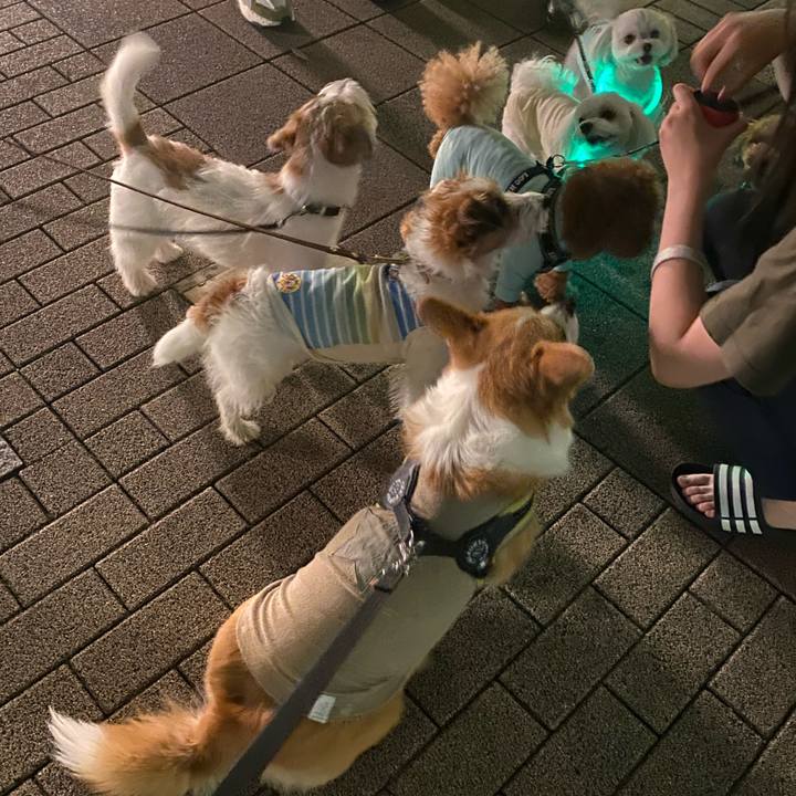 C40f86f8 9ed5 4643 9501 c4b7d3f77d64 1750517024007