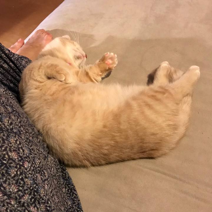 C40fb142 55c3 476c a764 99fe05363686 1519302361782