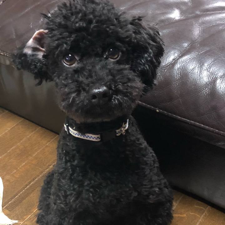 C40fc27b 569c 44e9 81e3 067380e4eba2 1529749160240