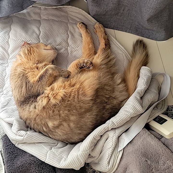 C4102ff5 db82 400a 90c8 5aeb84e29af7 1697797037412