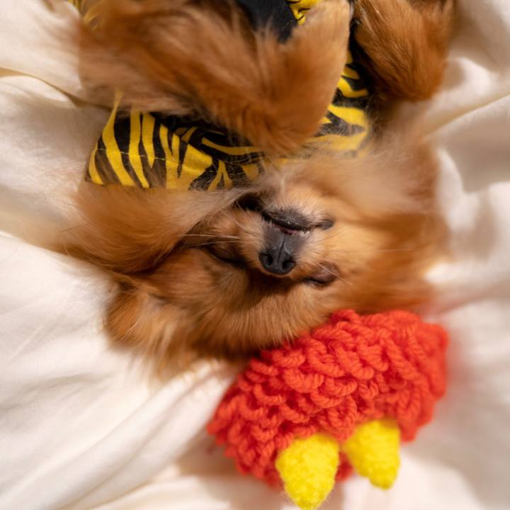 C4104f0e fa08 4a73 b051 68c3e126e862 1549198246608