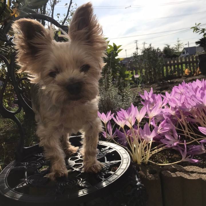 C4105e44 892b 433f 9ead da6270d880ea 1602494349319