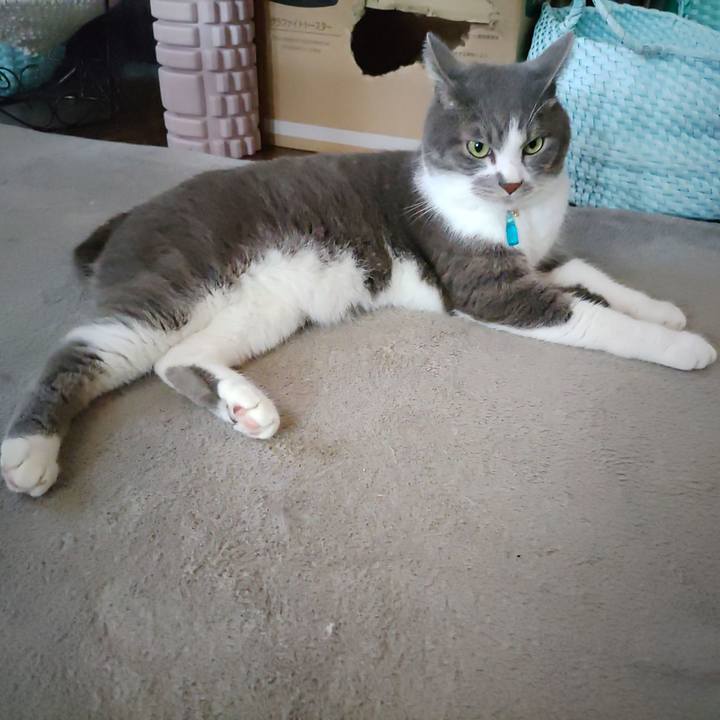 C4106e51 cbfe 44ed a016 1ff54df6d1b8 1722812108780