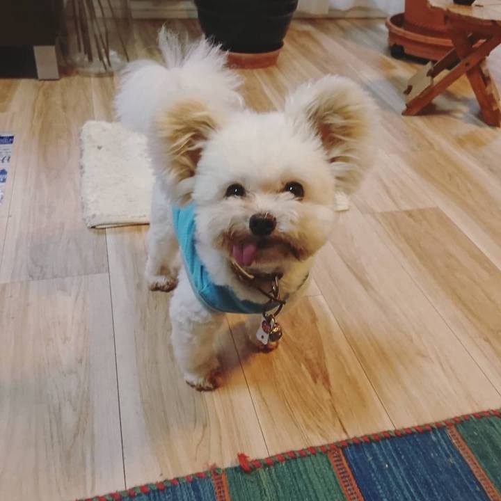 C410aeee d30b 4f0e 93ba 768adeb2d6e3 1559883481563