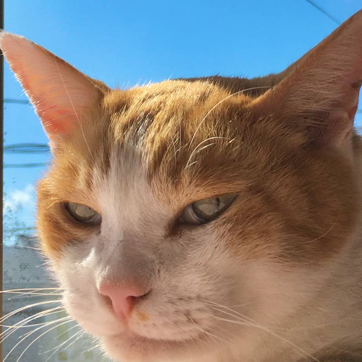 C410d205 364d 41f5 a68d 7930c201aeaf 1571020983825