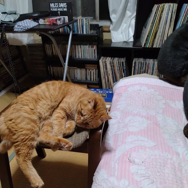 C410db2d 632e 4c8b 8645 5f63191f57c9 1689942415297