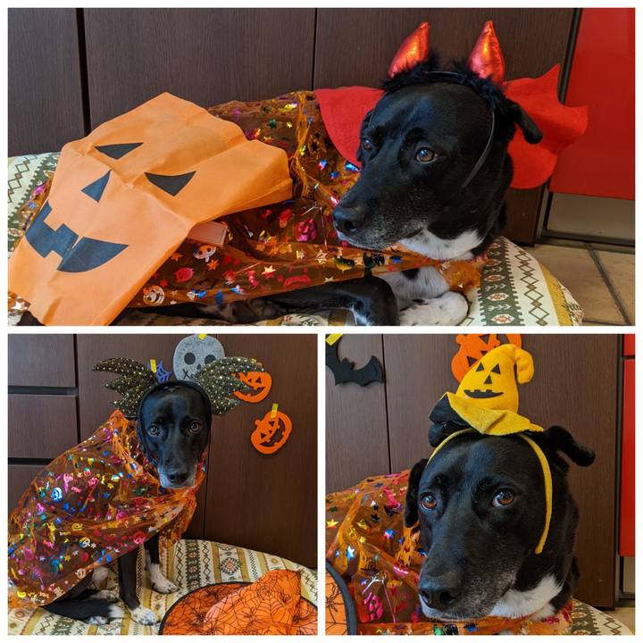 C410e6a3 b4b3 4279 a34f 0e785f09352d 1667177290786