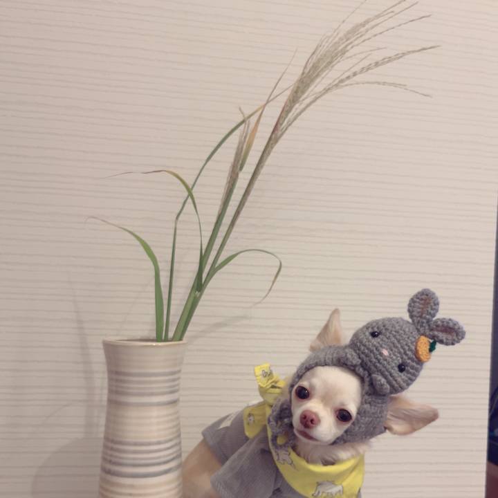 C410f6ee fca4 4446 b61c 712f2688c7e0 1695990616947