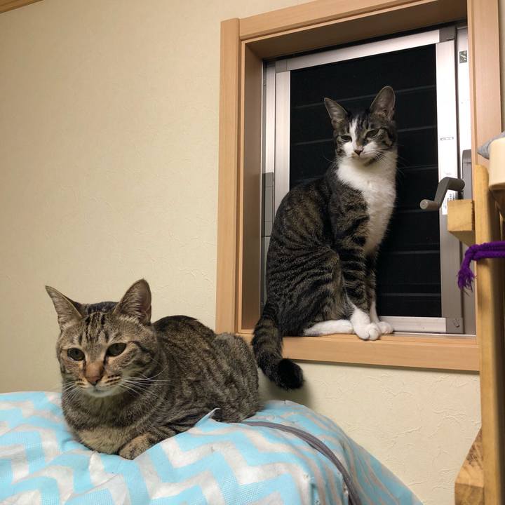 C4110c7d efce 49c6 a535 78ae4625d373 1530884903984