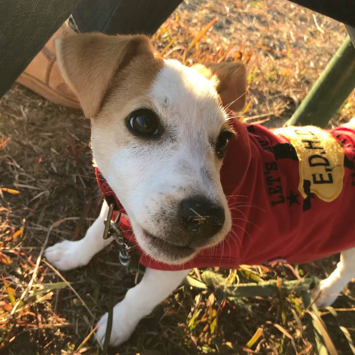 C4113db2 5270 4fa8 9b01 a2f7e7a3cd33 1546593589982