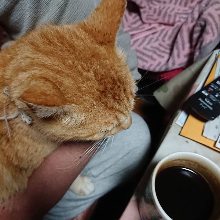 C4114192 d8e2 4aab 9bbb 3ae94c9cc5d7 1590352082955