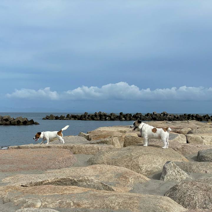 C4115ccc 374e 4bc4 8151 6adbfb0294f9 1658363089110