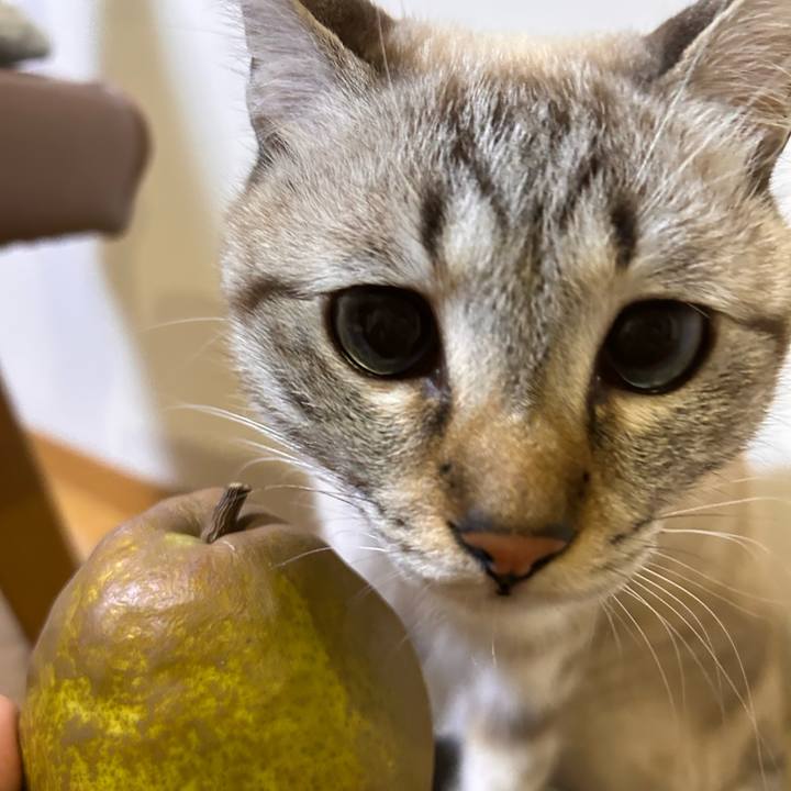 C41166d4 6307 46b9 b1c7 ecc3f2e61f33 1765884049641