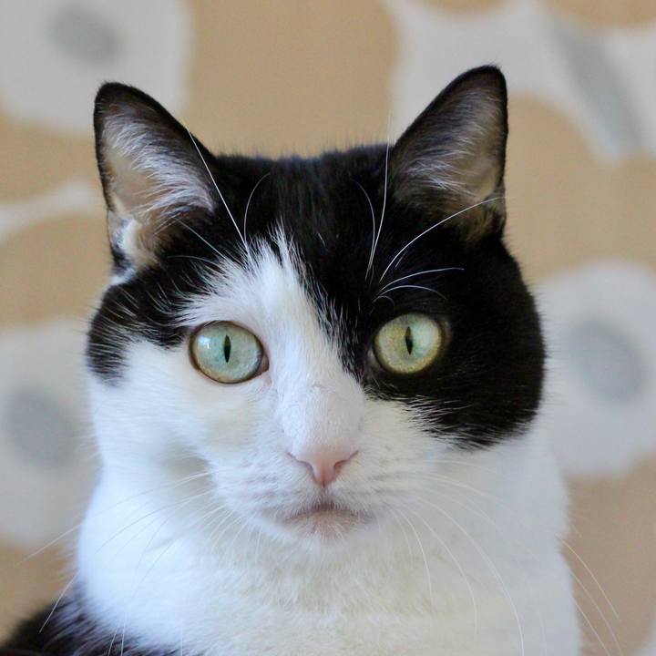 C411874b f7d6 439c bb30 94f0b61f2e1d 1672716943415