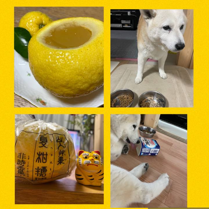 C411af4f c52c 448b 8753 61ccc91bbe8e 1655731364351