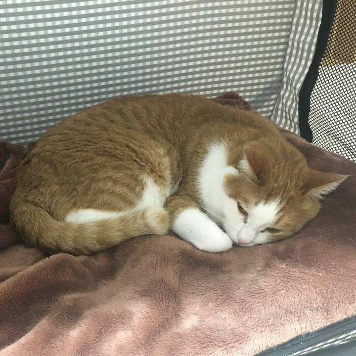 C411dee4 6b66 421f 9e62 dbc6d91bce10 1539820362632