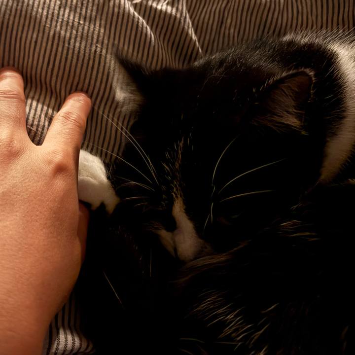 C4123de0 d0b7 4930 8380 f11ebd87cef2 1762767684065