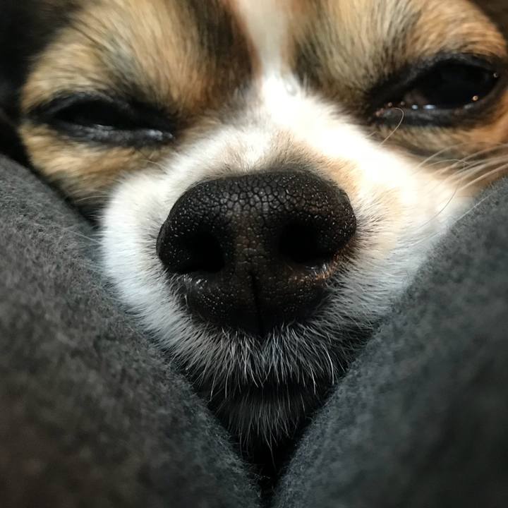 C4128f32 95fa 4117 9452 930db21e8ceb 1523539592867