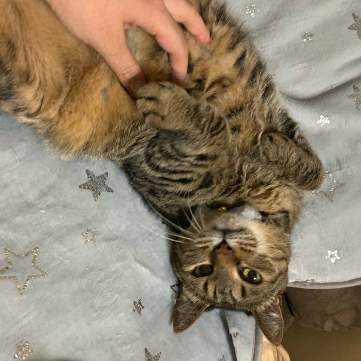 C4129616 1e4c 46a5 8387 ad2ae5e0f17e 1588409836916