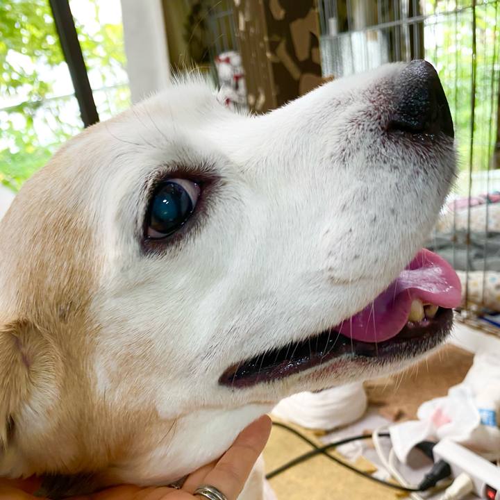 C412a72c 7689 4dad a3dc 2d3813f1a0ab 1654400373729