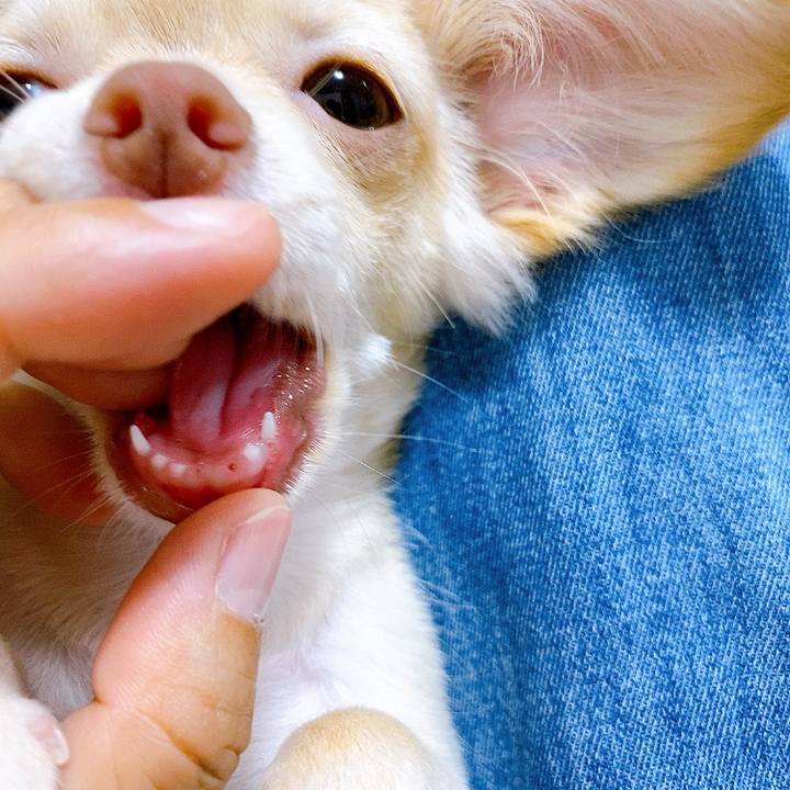 C412be1a 7ed9 4da7 b9e6 b633ee4339e3 1593512510834