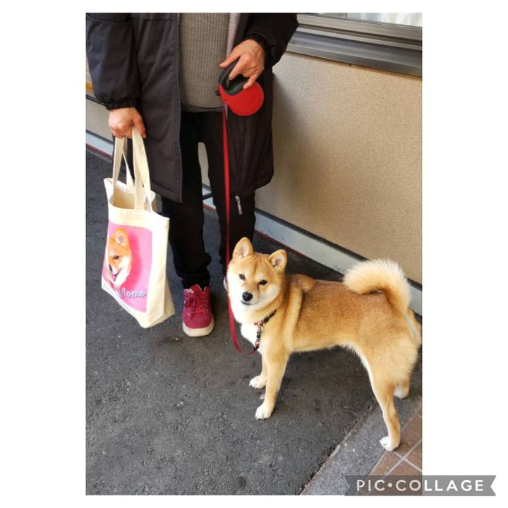 C412d44f ff97 4006 9dfb f1dc81ada66f 1672793410860