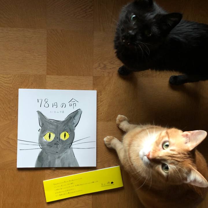 C412d7c4 a7ee 48ea 9da1 76ddf71b8241 1630142216122