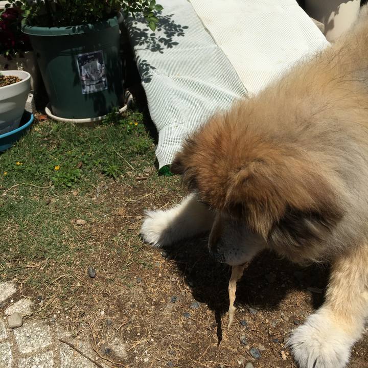 C412e329 84bb 4e27 9f02 8aced81ba371 1570253737387