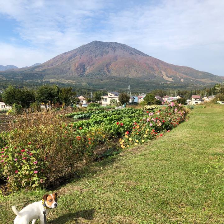 C4130c68 b607 4ccb b91b db273b82ef79 1540279329027