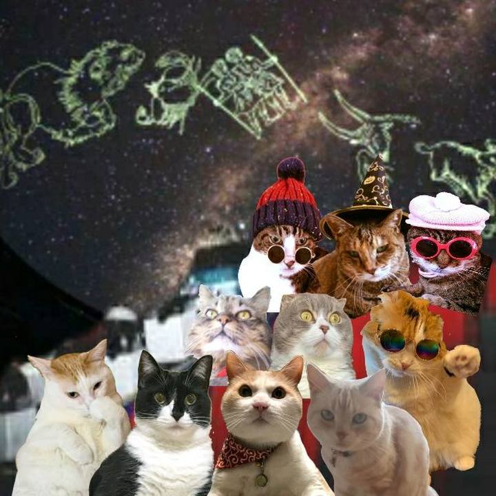 C41330d3 73bf 452a 8740 fd64ea28933f 1557671952658