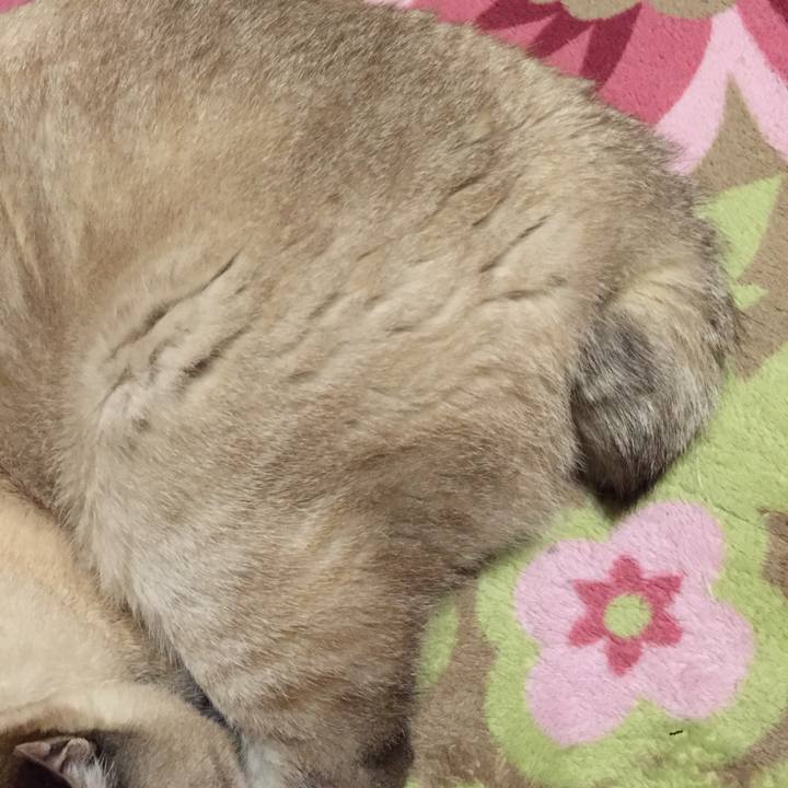 C41355d0 a387 42a4 9edb 37cc2ba4b413 1519335975164