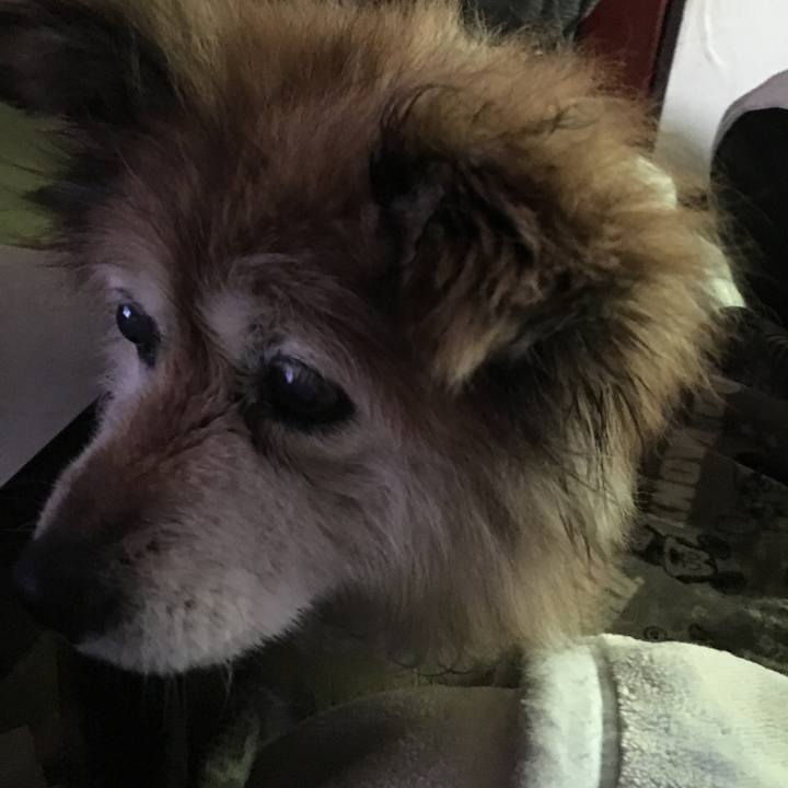 C4135a3a 0956 4dfd 94d6 cfdc2f7e5124 1608932567551