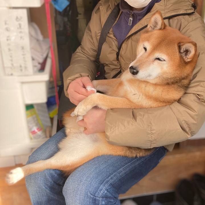 C41382f4 954c 4303 86d1 22baf37a7a46 1640748409721