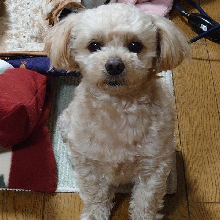 C413f8da 4985 44bf be1d 4efbf16550a9 1582284210717