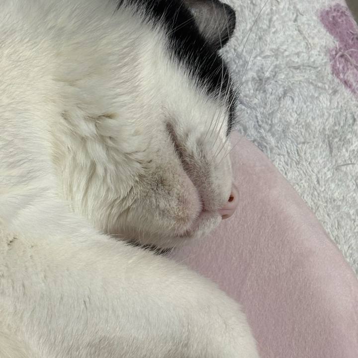 C41411ca 87ce 4b04 ae92 17abd7d56313 1769466860844