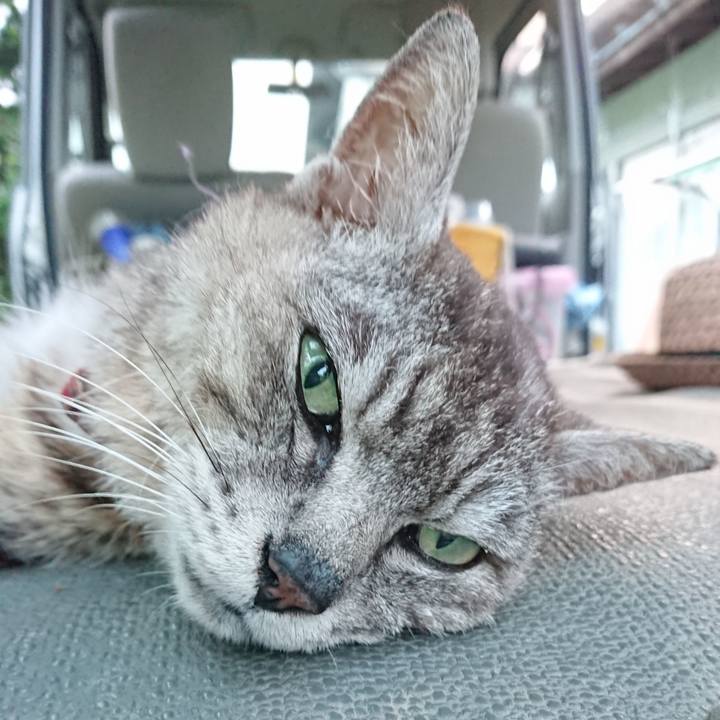 C4143b1f 6ec0 47b2 bcb6 f77570accd9d 1596706690077