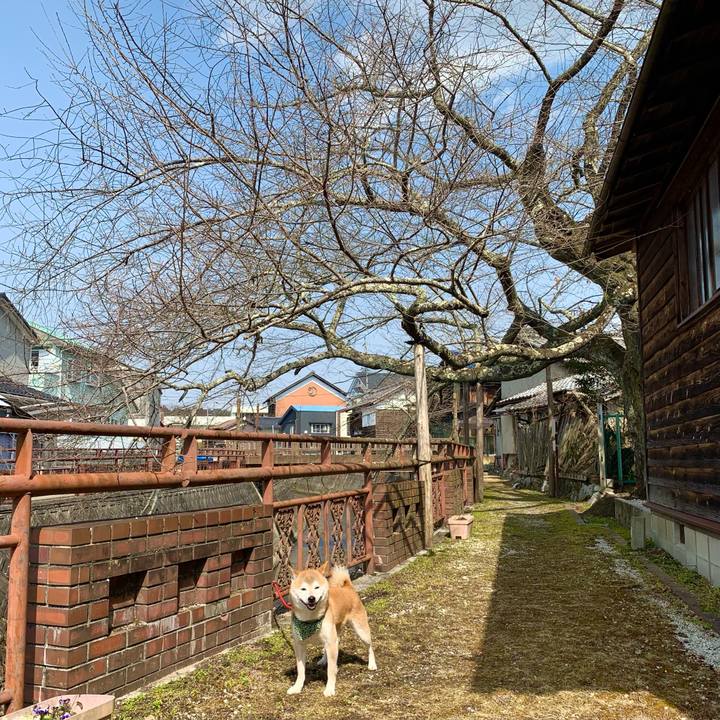 C4149814 74da 4af5 84b1 7879ef3b8bc6 1646470849222