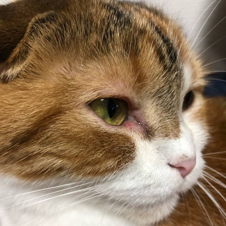 C414aa61 6114 4566 a3cd ac30f085be05 1566126784299