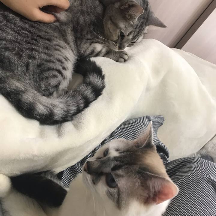 C414b93d 969a 485c 8dd6 cc8bac28c708 1554000904292