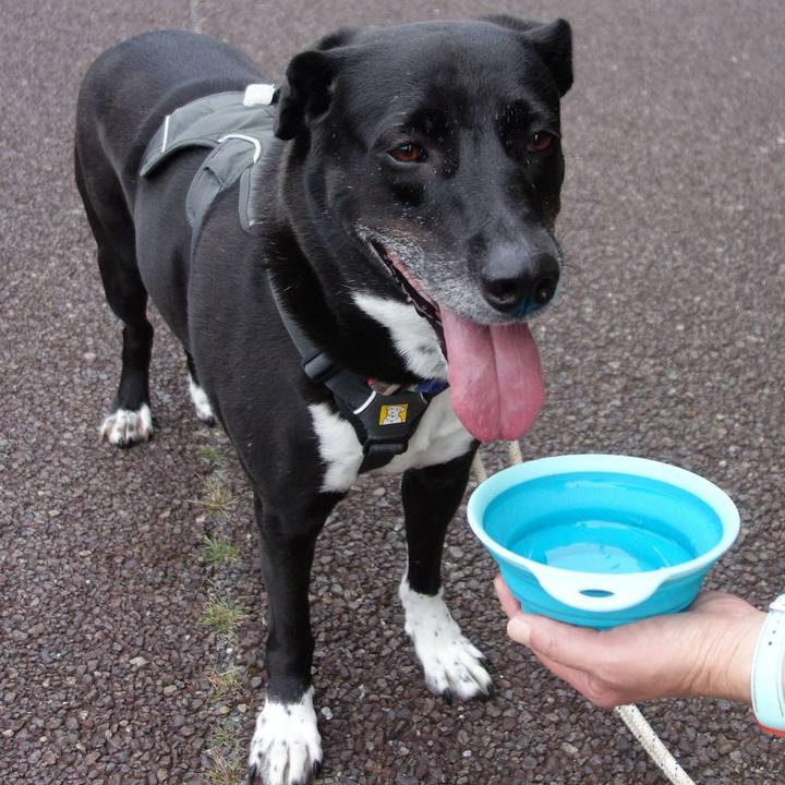 C414d723 f76e 4b64 b4f9 4cc7fb45d2d1 1662249243998