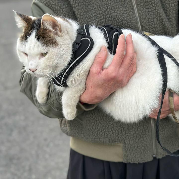 C4151692 82d3 45bf 86b5 0b627ea878c9 1768868988482