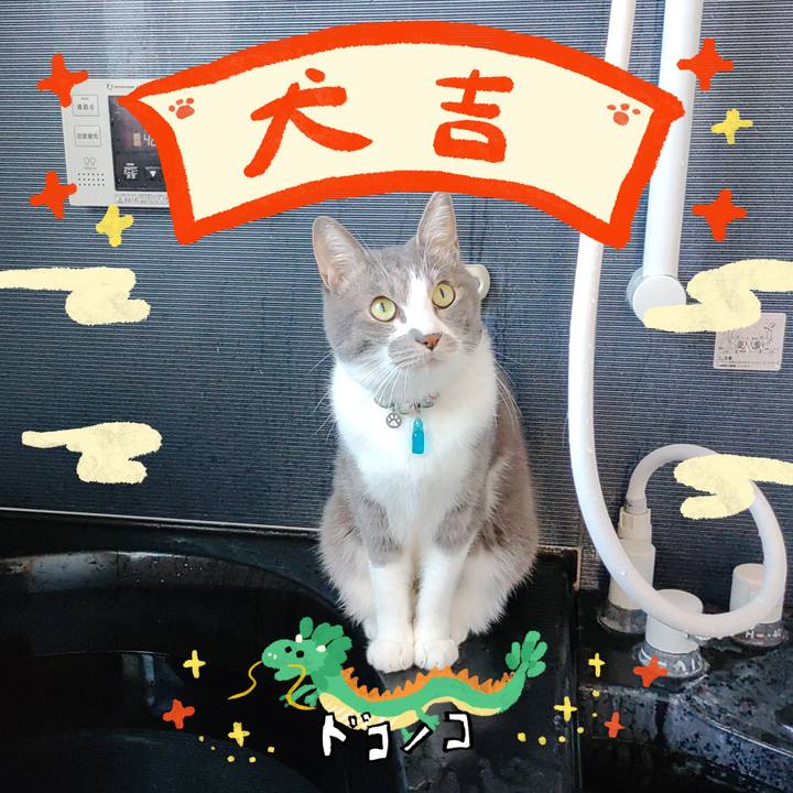 C4151d4a 5c2e 4323 8386 e3f2c8a1f771 1704510267039