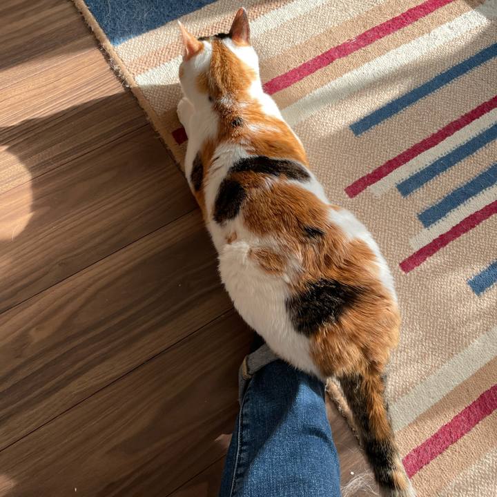 C415354f f633 4b0a 8ec1 8c93ab5016bd 1619767480850