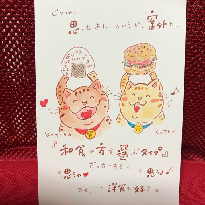 C4153a47 d98c 4754 a645 2a89e5470bc5 1550583601255